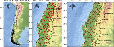 High-Resolution Precipitation Gridded Dataset on the South-Central Zone (34° S–41° S) of Chile